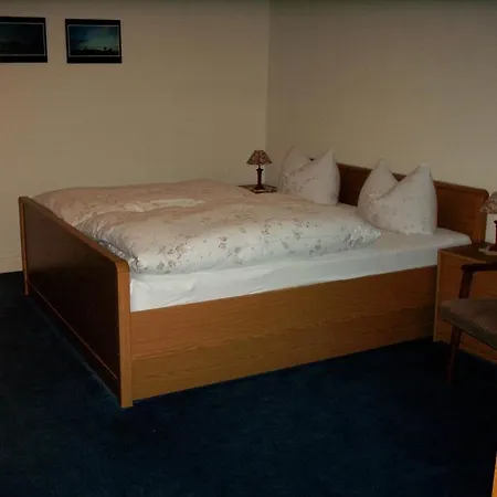 Haus Hubertus 3* وينتربرغ